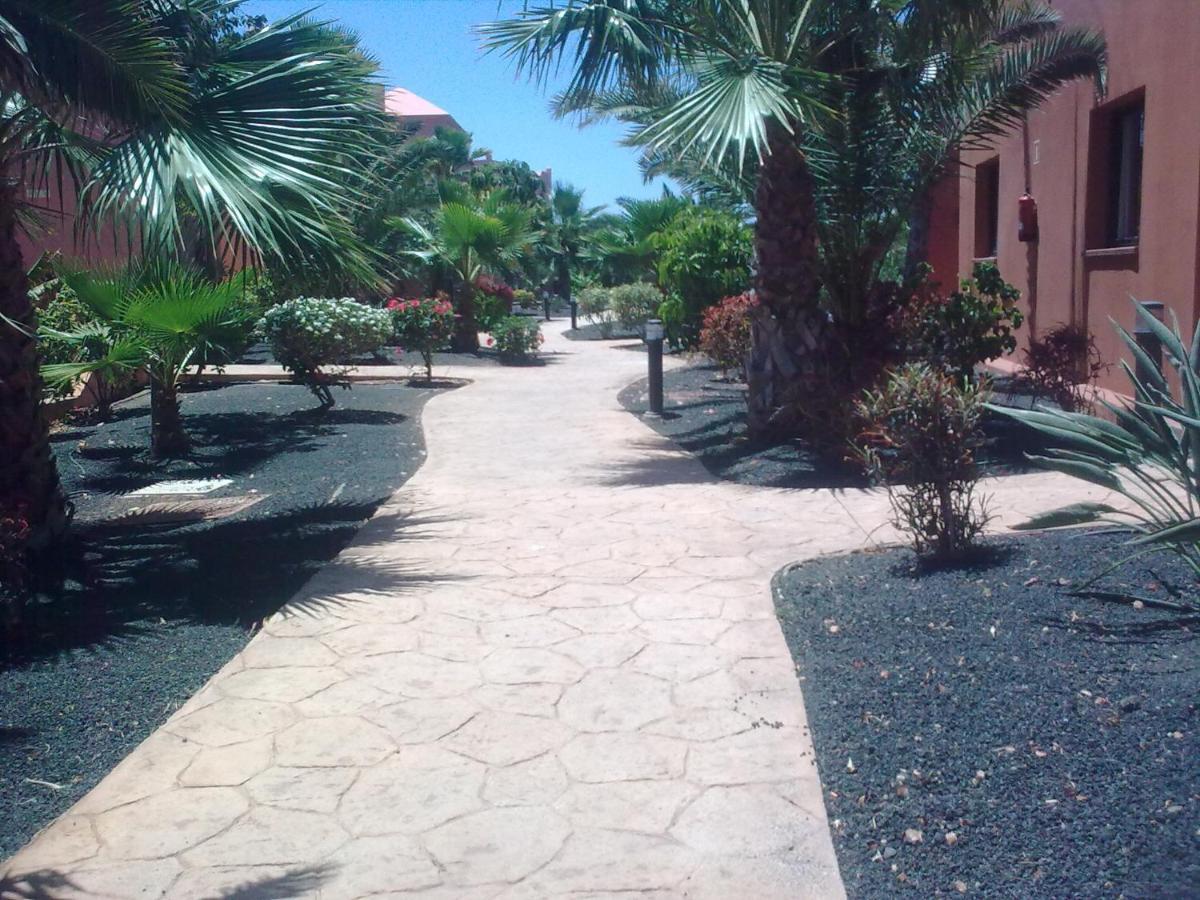 Ferienwohnung Tamarindo I Piscinas De Agua Salada Corralejo Exterior foto