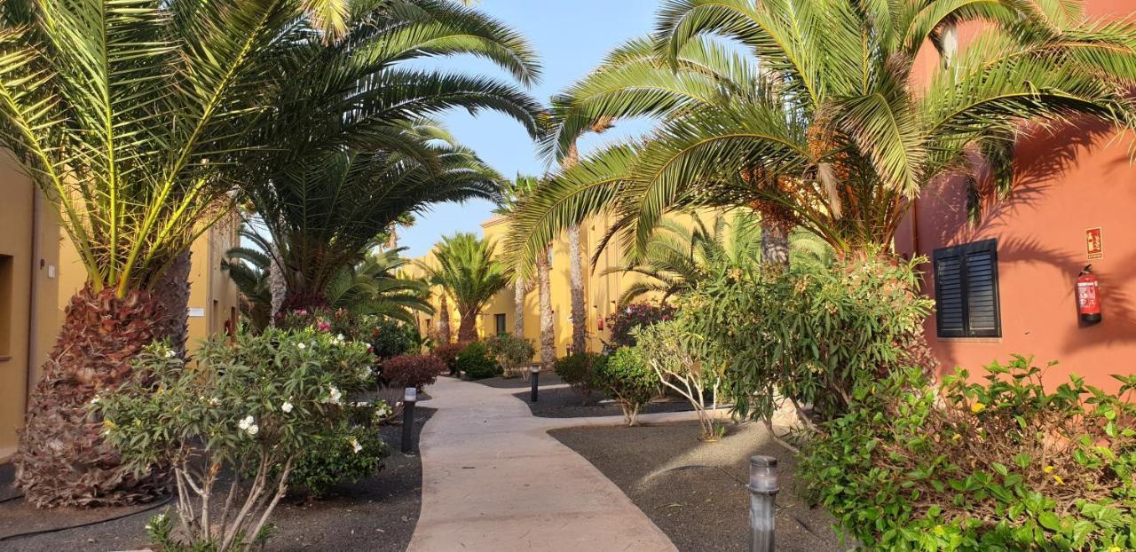 Ferienwohnung Tamarindo I Piscinas De Agua Salada Corralejo Exterior foto
