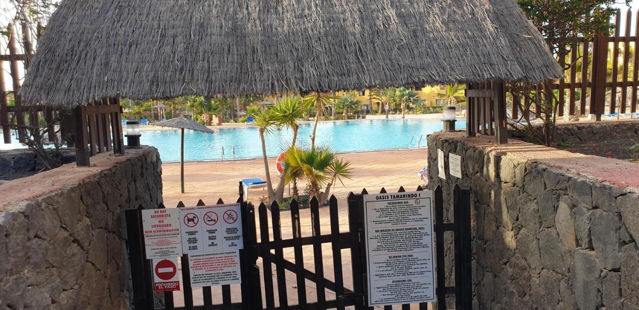 Ferienwohnung Tamarindo I Piscinas De Agua Salada Corralejo Exterior foto