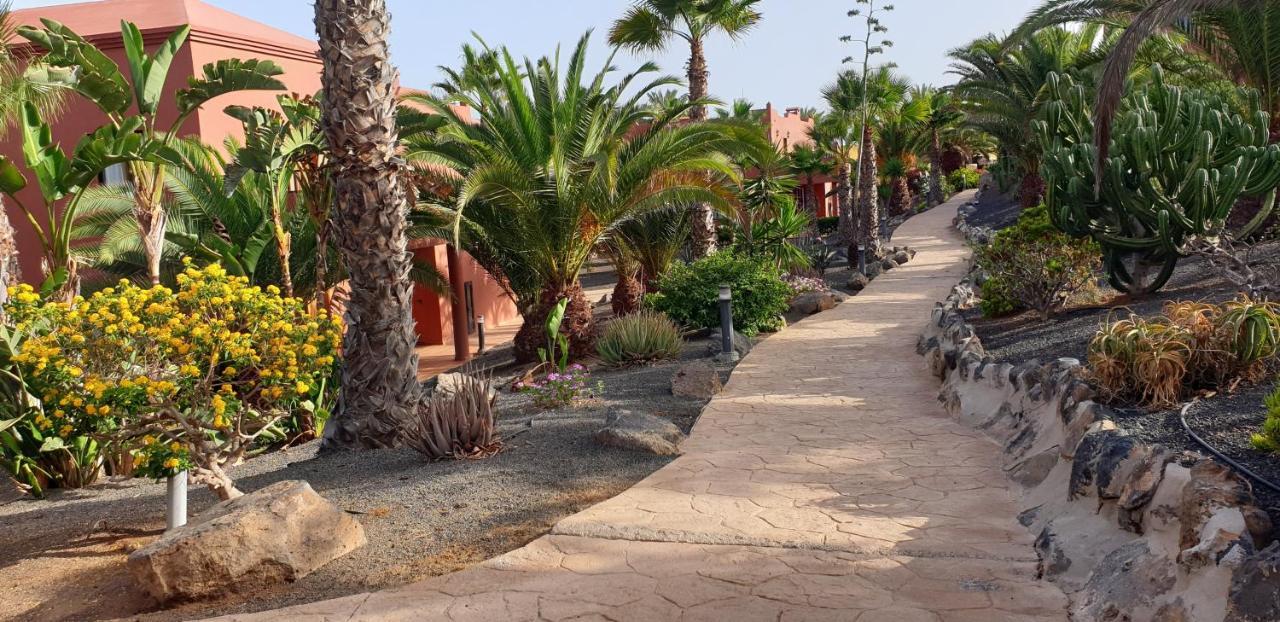 Ferienwohnung Tamarindo I Piscinas De Agua Salada Corralejo Exterior foto