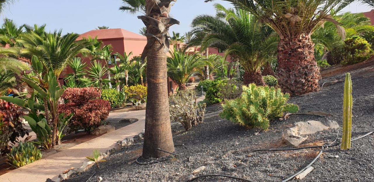 Ferienwohnung Tamarindo I Piscinas De Agua Salada Corralejo Exterior foto